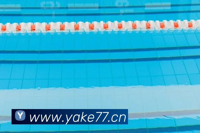 云开体育在线登陆平台生态图